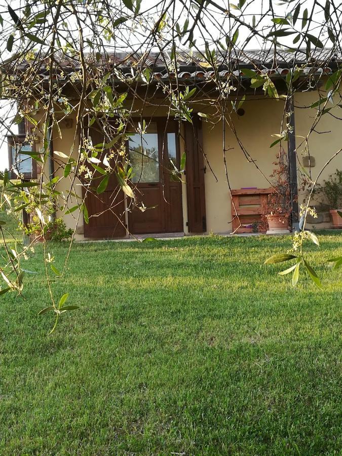 Casale Giuncheto Vakantieboerderij Pilonico Paterno
