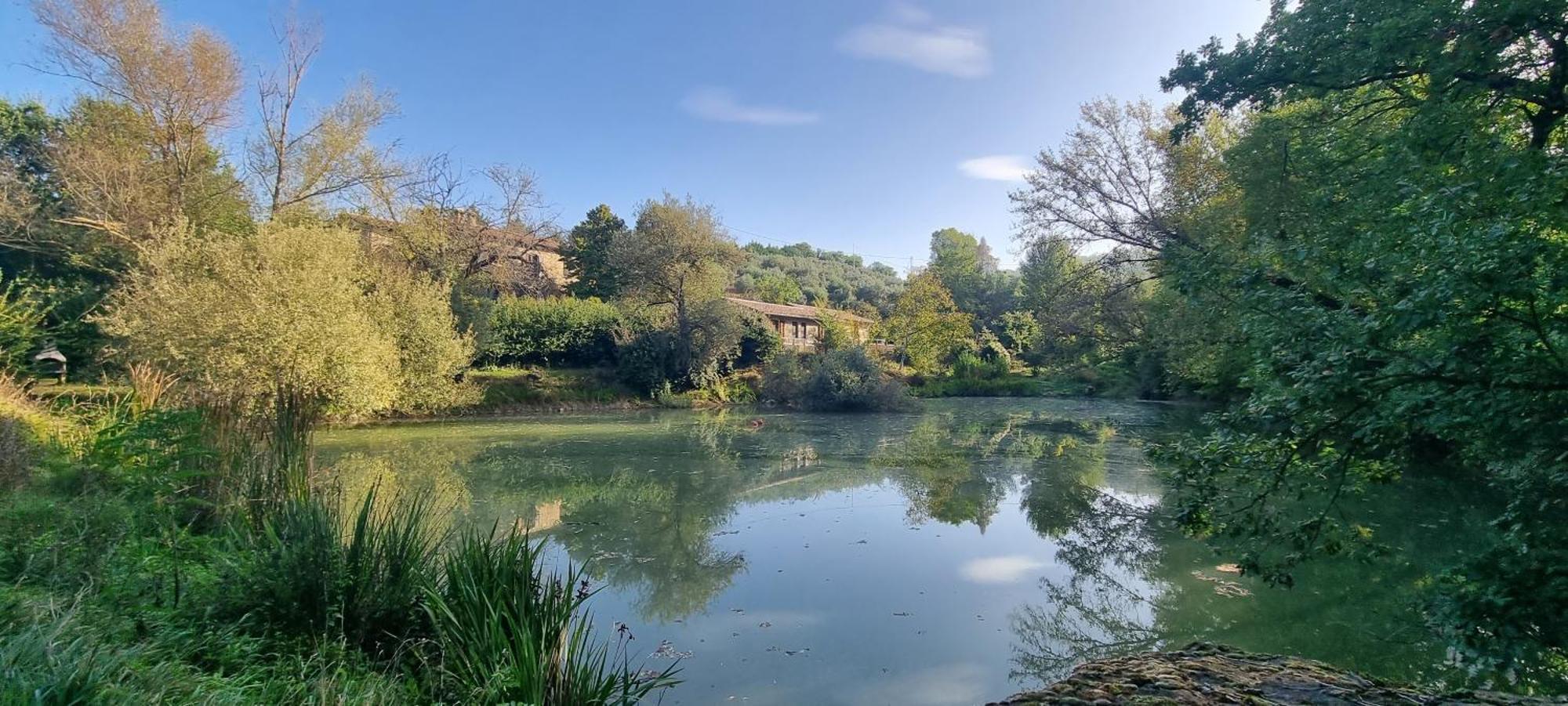 Vakantieboerderij Casale Giuncheto *
