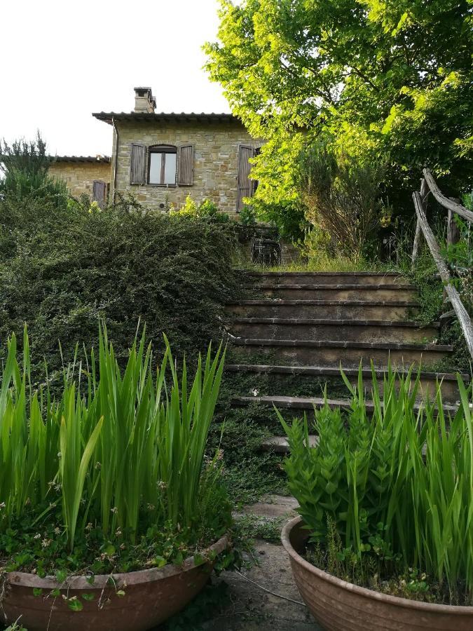 Bauernhof Casale Giuncheto Pilonico Paterno