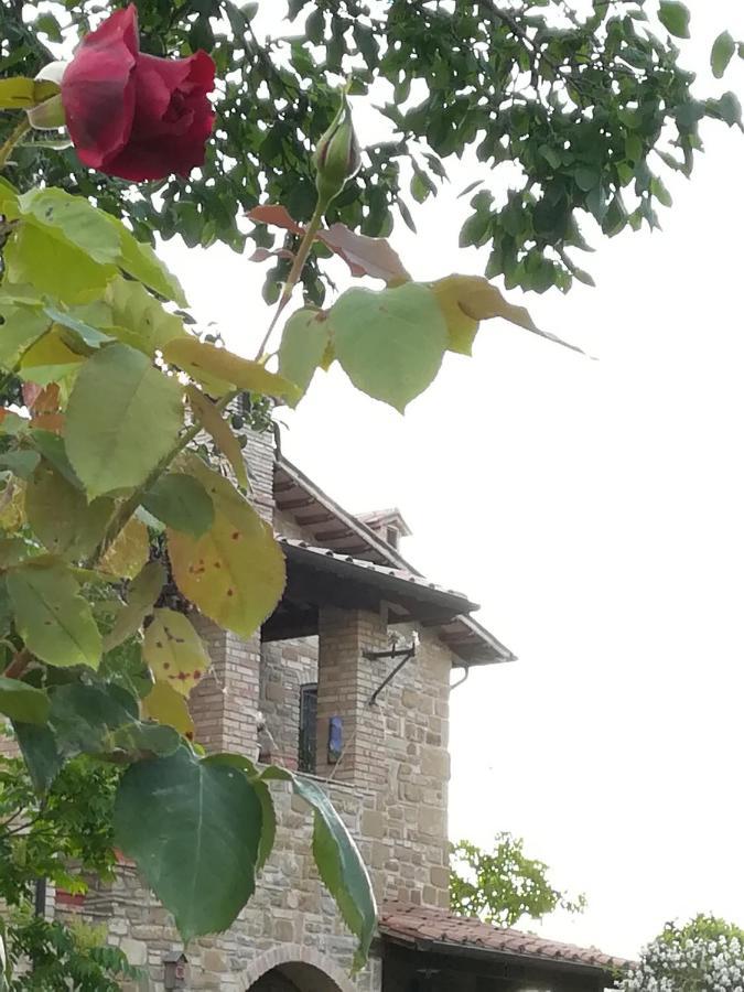 Casale Giuncheto *